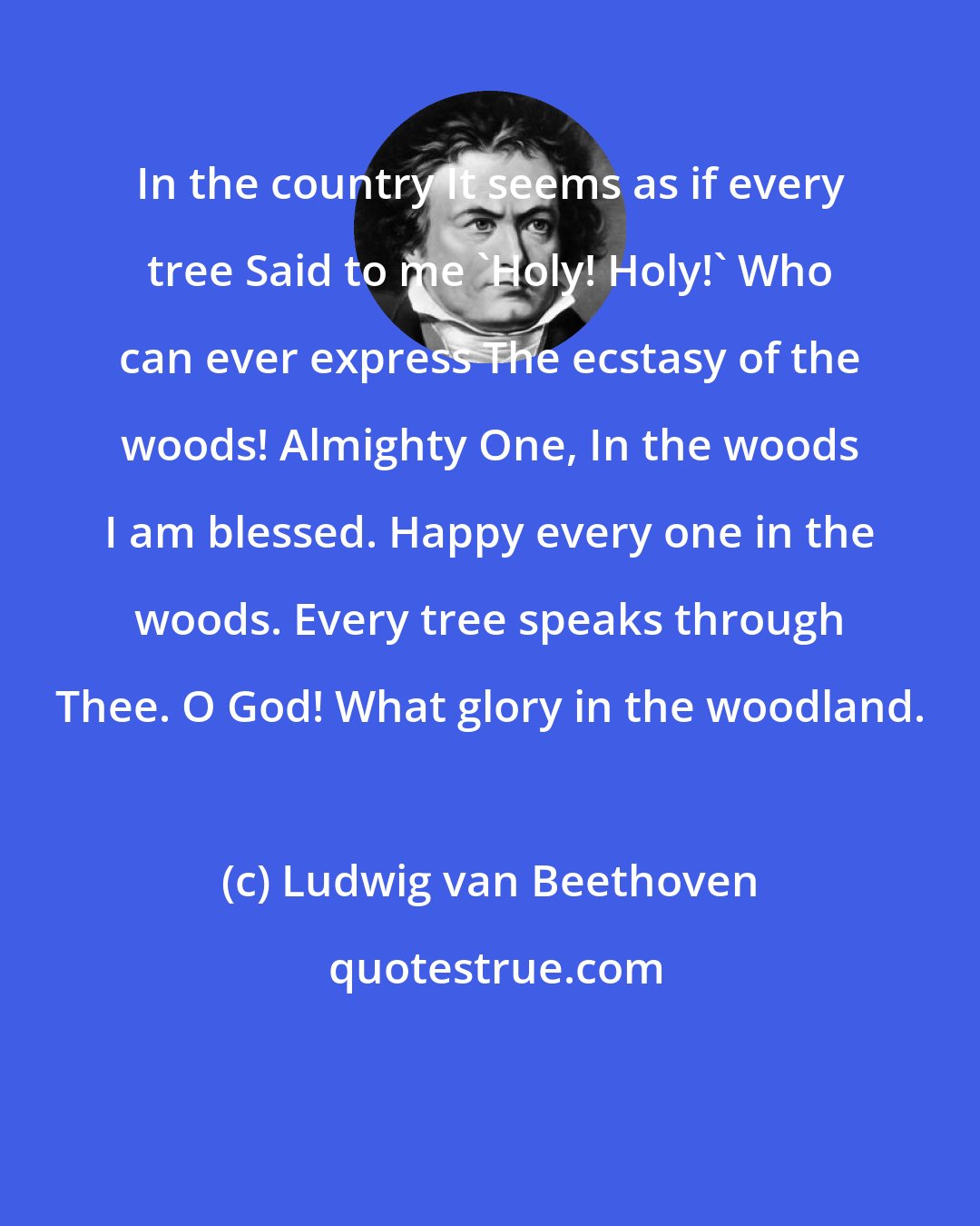 Ludwig van Beethoven: In the country It seems as if every tree Said to me 'Holy! Holy!' Who can ever express The ecstasy of the woods! Almighty One, In the woods I am blessed. Happy every one in the woods. Every tree speaks through Thee. O God! What glory in the woodland.