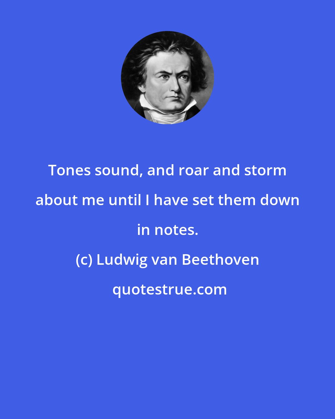 Ludwig van Beethoven: Tones sound, and roar and storm about me until I have set them down in notes.