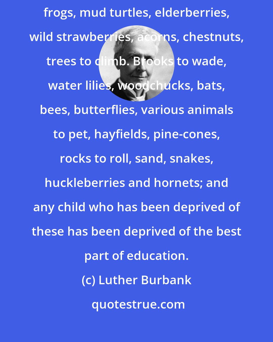 Luther Burbank: Every child should have mud pies, grasshoppers, water bugs, tadpoles, frogs, mud turtles, elderberries, wild strawberries, acorns, chestnuts, trees to climb. Brooks to wade, water lilies, woodchucks, bats, bees, butterflies, various animals to pet, hayfields, pine-cones, rocks to roll, sand, snakes, huckleberries and hornets; and any child who has been deprived of these has been deprived of the best part of education.