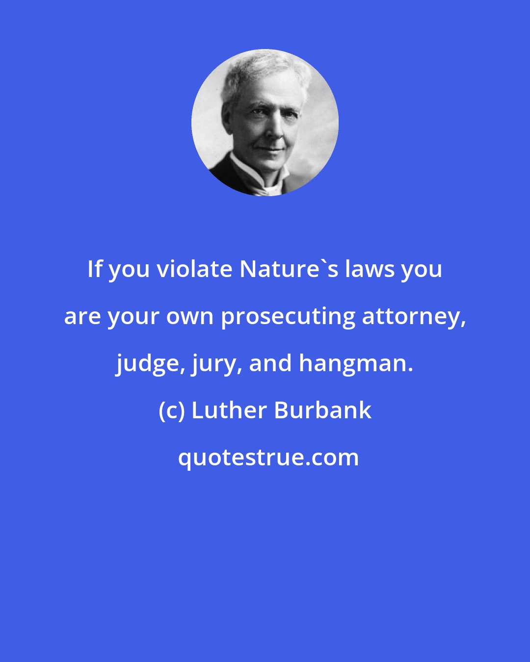 Luther Burbank: If you violate Nature's laws you are your own prosecuting attorney, judge, jury, and hangman.