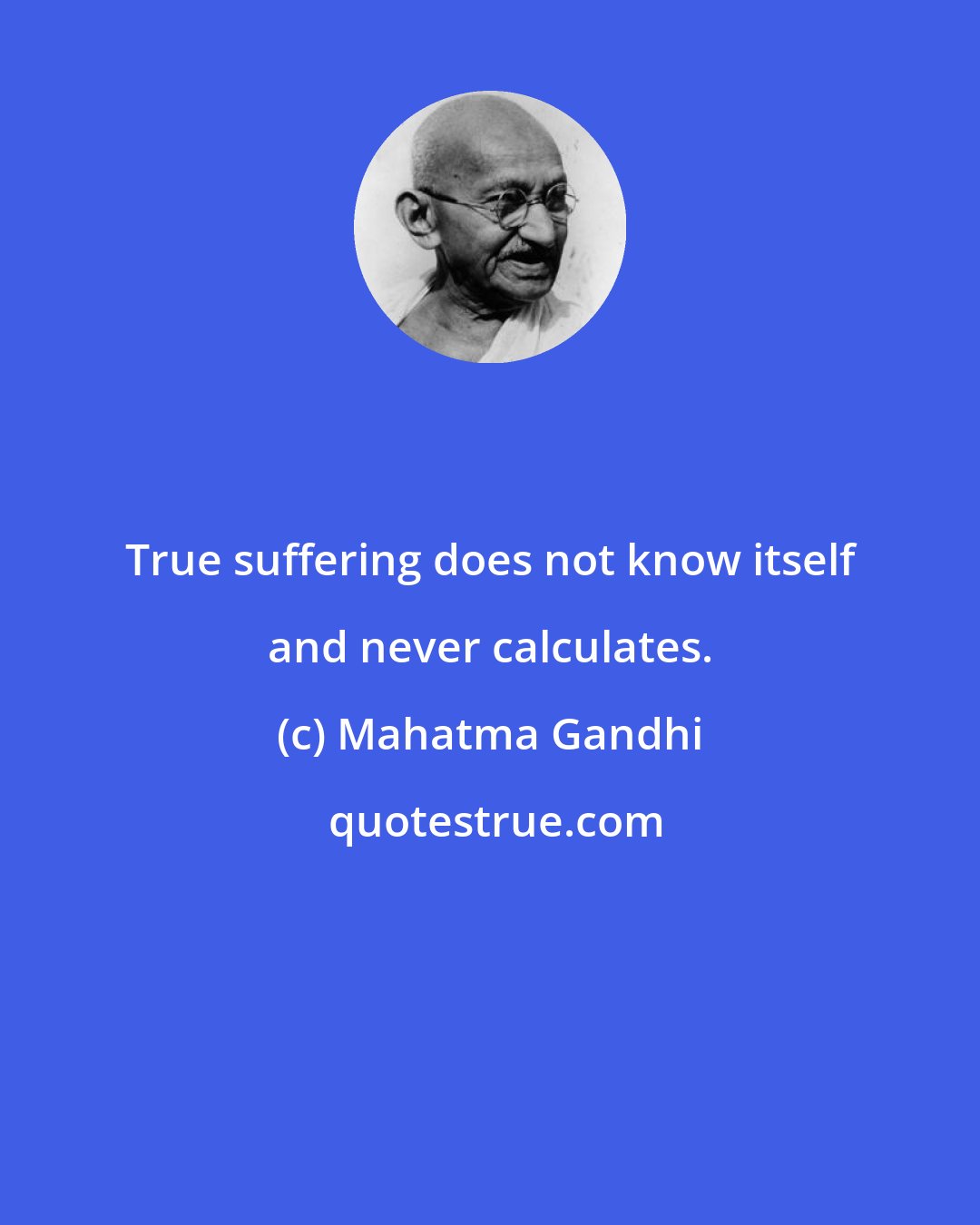 Mahatma Gandhi: True suffering does not know itself and never calculates.