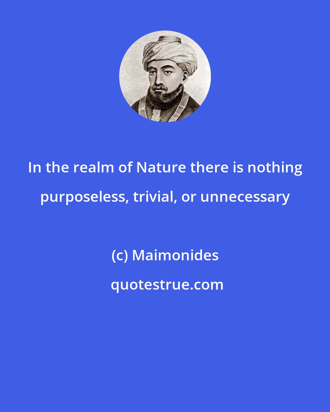 Maimonides: In the realm of Nature there is nothing purposeless, trivial, or unnecessary