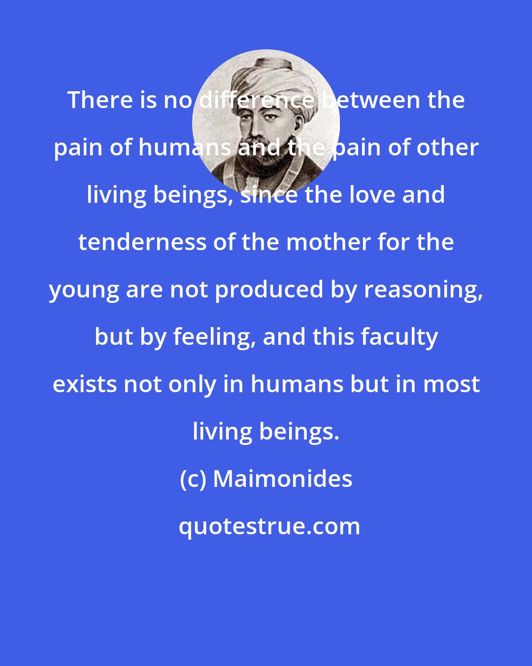 Maimonides: There is no difference between the pain of humans and the pain of other living beings, since the love and tenderness of the mother for the young are not produced by reasoning, but by feeling, and this faculty exists not only in humans but in most living beings.