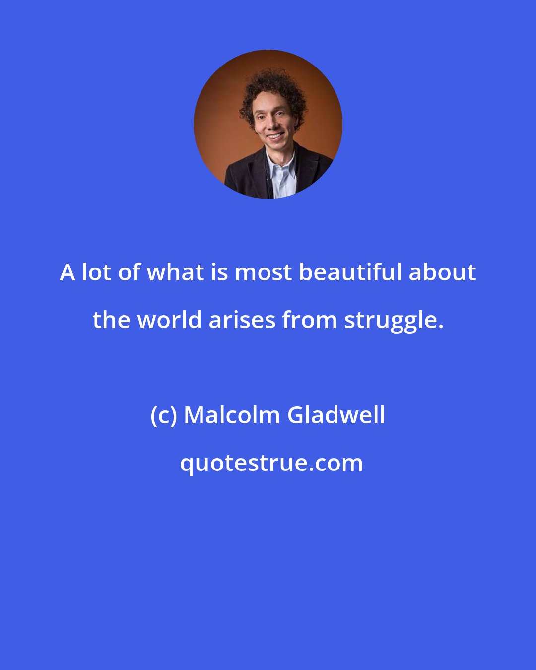 Malcolm Gladwell: A lot of what is most beautiful about the world arises from struggle.