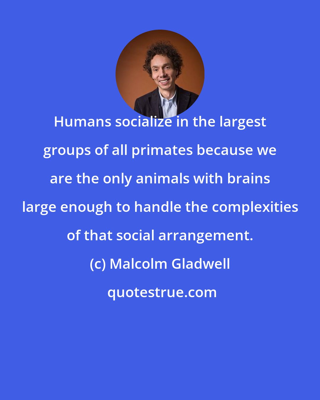 Malcolm Gladwell: Humans socialize in the largest groups of all primates because we are the only animals with brains large enough to handle the complexities of that social arrangement.