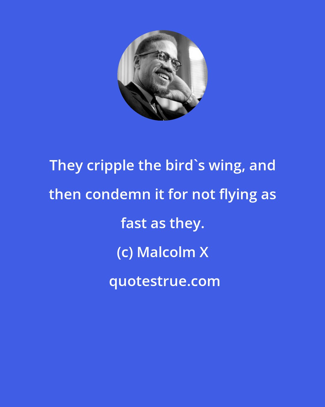 Malcolm X: They cripple the bird's wing, and then condemn it for not flying as fast as they.