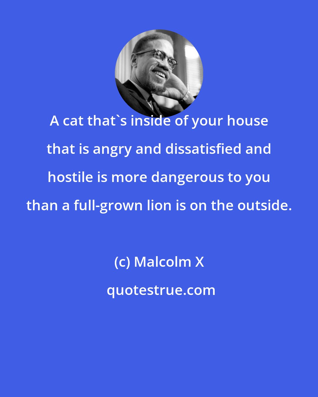 Malcolm X: A cat that's inside of your house that is angry and dissatisfied and hostile is more dangerous to you than a full-grown lion is on the outside.