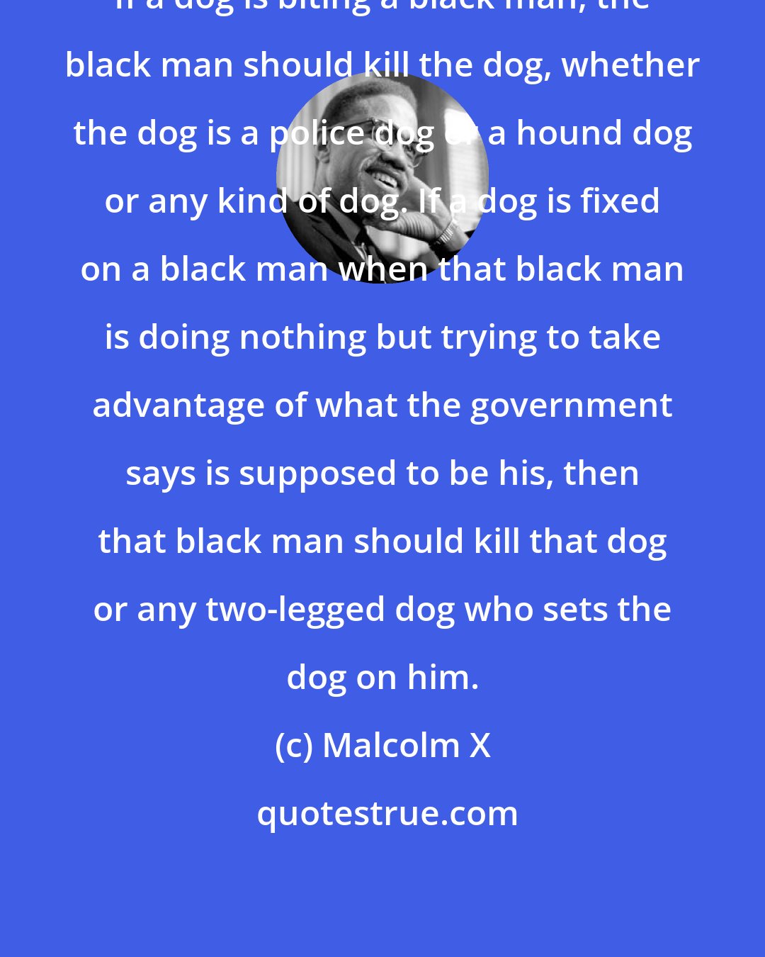 Malcolm X: If a dog is biting a black man, the black man should kill the dog, whether the dog is a police dog or a hound dog or any kind of dog. If a dog is fixed on a black man when that black man is doing nothing but trying to take advantage of what the government says is supposed to be his, then that black man should kill that dog or any two-legged dog who sets the dog on him.