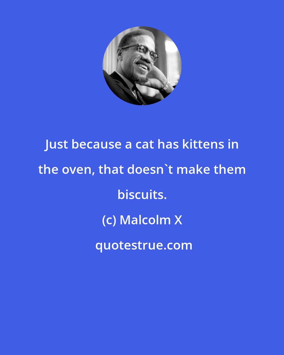 Malcolm X: Just because a cat has kittens in the oven, that doesn't make them biscuits.