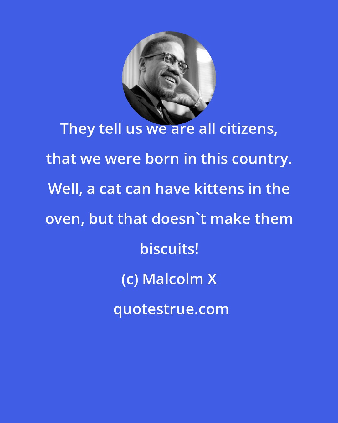 Malcolm X: They tell us we are all citizens, that we were born in this country. Well, a cat can have kittens in the oven, but that doesn't make them biscuits!