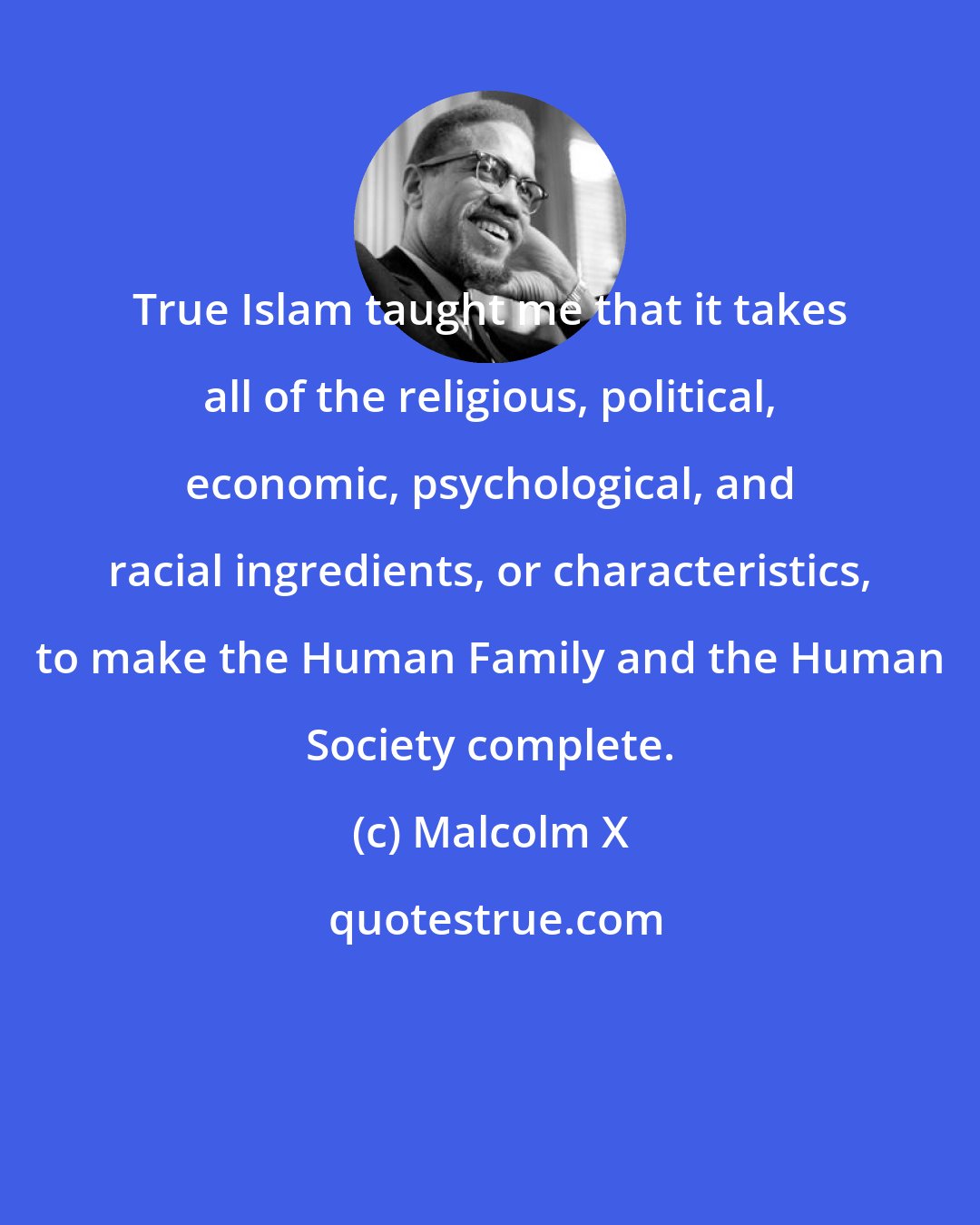 Malcolm X: True Islam taught me that it takes all of the religious, political, economic, psychological, and racial ingredients, or characteristics, to make the Human Family and the Human Society complete.