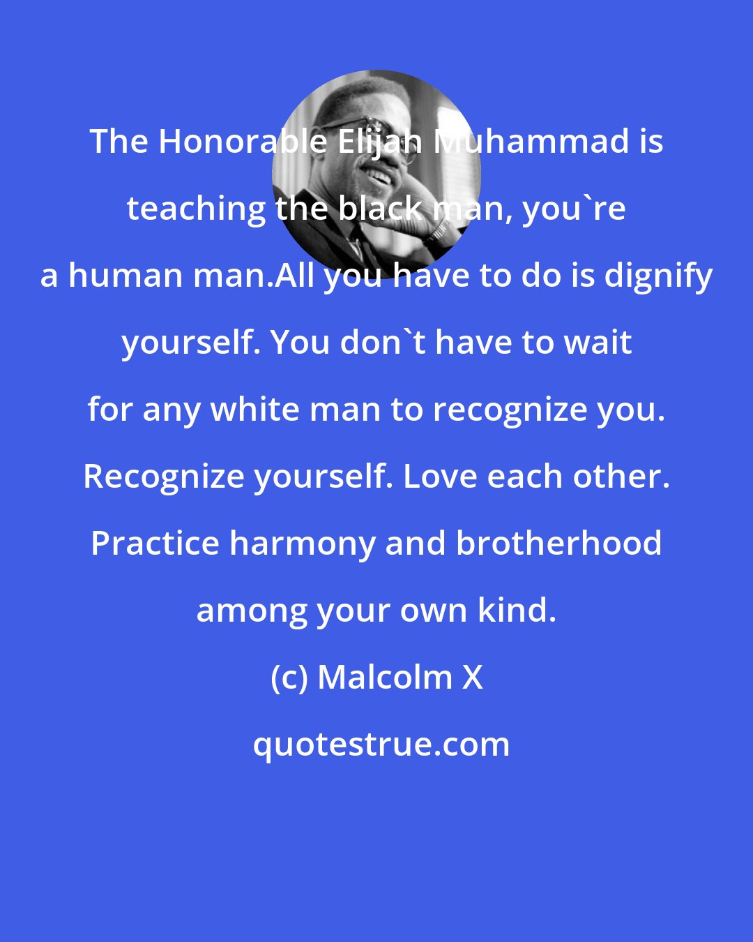 Malcolm X: The Honorable Elijah Muhammad is teaching the black man, you're a human man.All you have to do is dignify yourself. You don't have to wait for any white man to recognize you. Recognize yourself. Love each other. Practice harmony and brotherhood among your own kind.