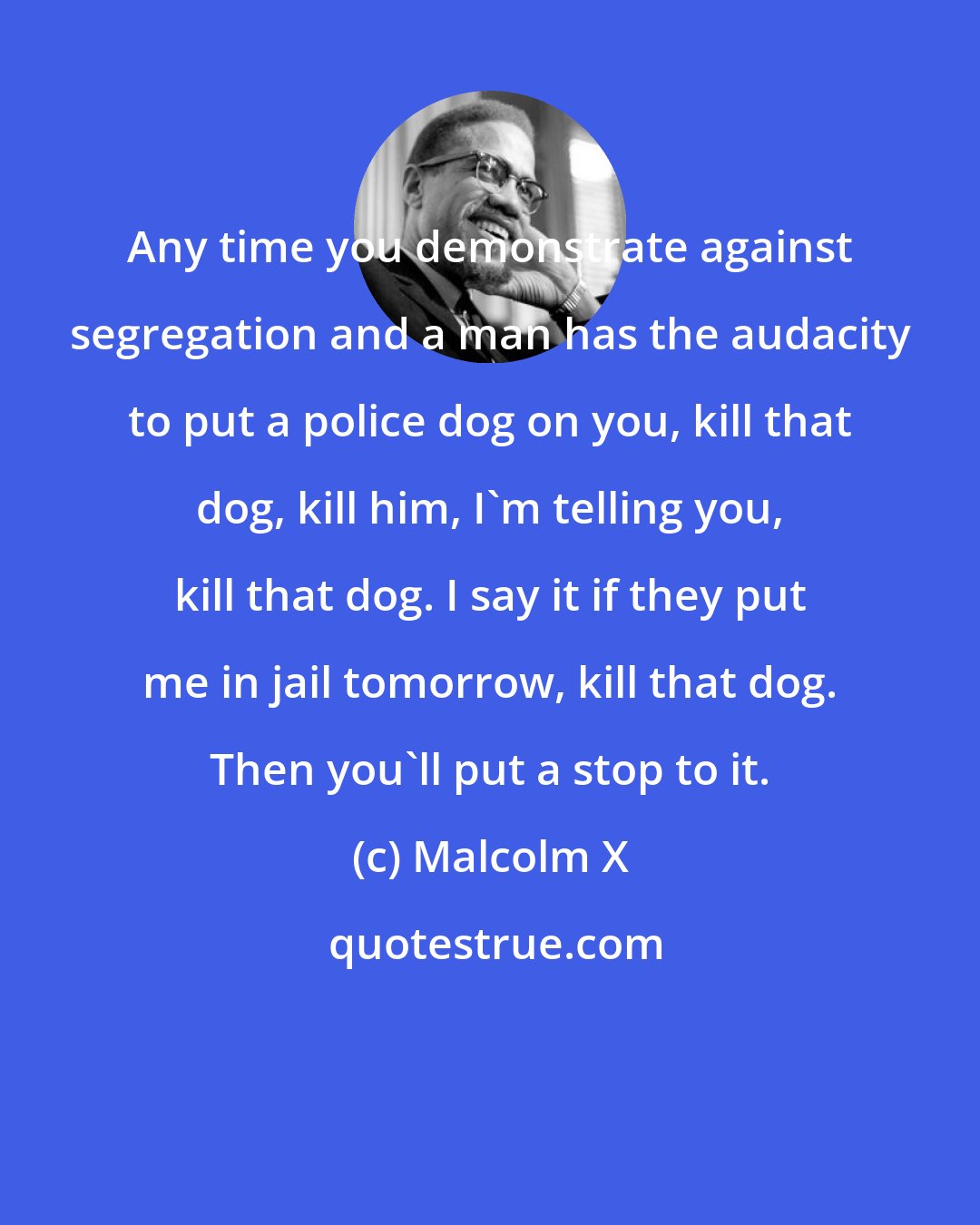 Malcolm X: Any time you demonstrate against segregation and a man has the audacity to put a police dog on you, kill that dog, kill him, I'm telling you, kill that dog. I say it if they put me in jail tomorrow, kill that dog. Then you'll put a stop to it.