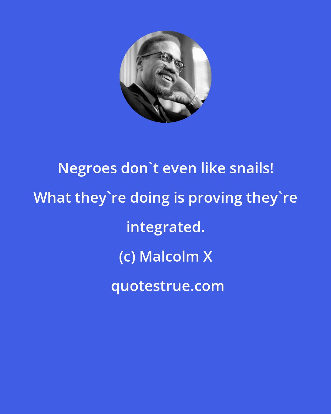 Malcolm X: Negroes don't even like snails! What they're doing is proving they're integrated.