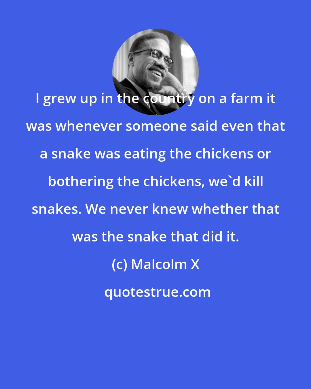 Malcolm X: I grew up in the country on a farm it was whenever someone said even that a snake was eating the chickens or bothering the chickens, we'd kill snakes. We never knew whether that was the snake that did it.