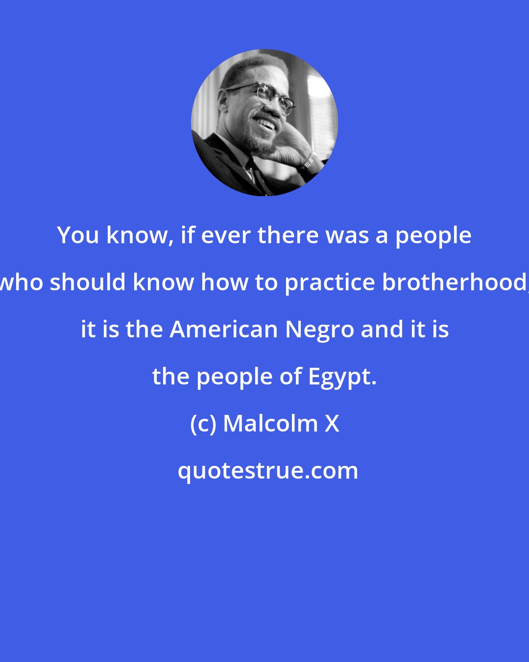 Malcolm X: You know, if ever there was a people who should know how to practice brotherhood, it is the American Negro and it is the people of Egypt.