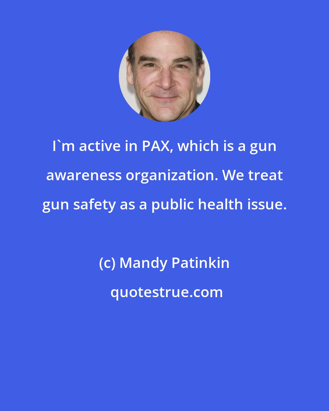 Mandy Patinkin: I'm active in PAX, which is a gun awareness organization. We treat gun safety as a public health issue.