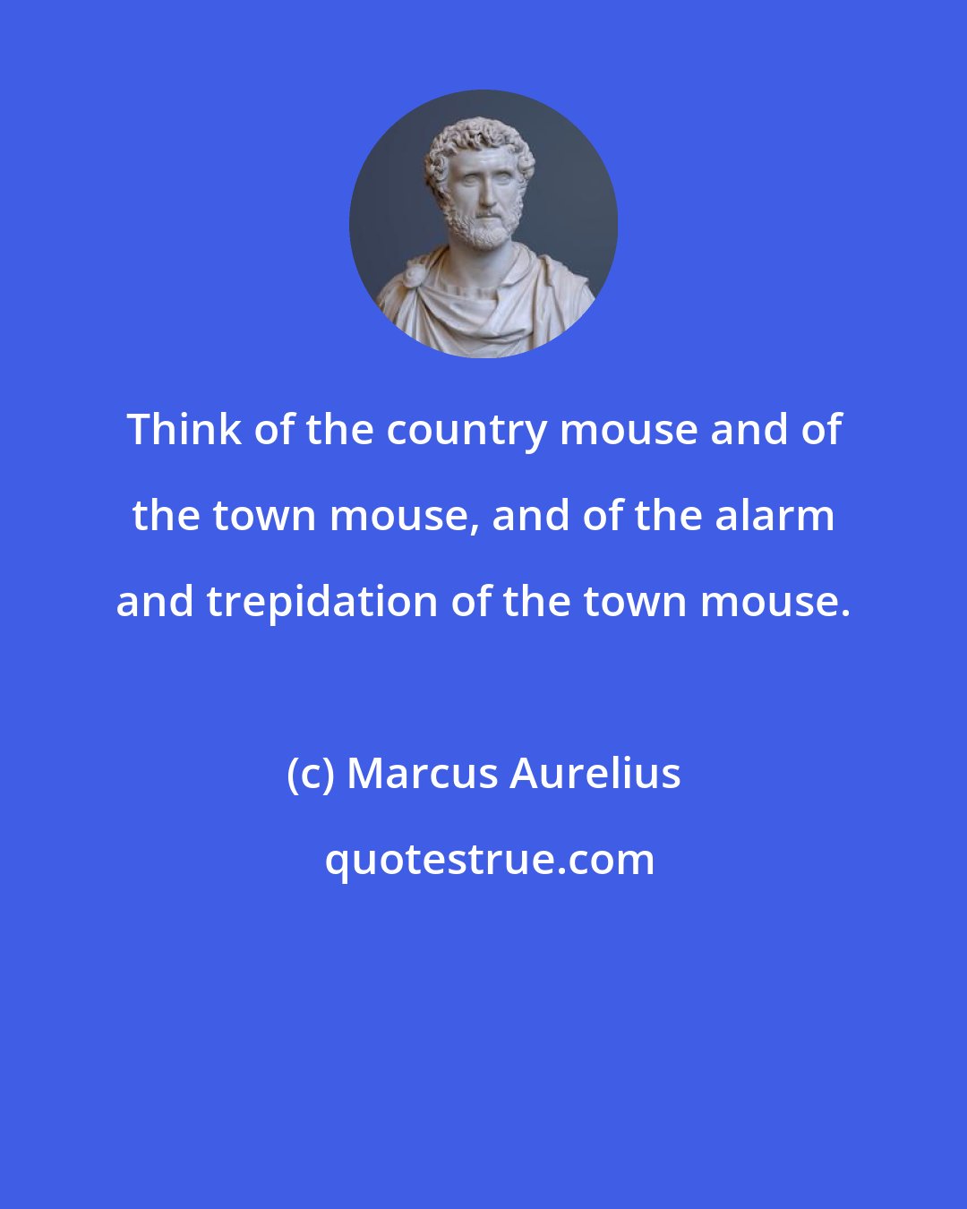 Marcus Aurelius: Think of the country mouse and of the town mouse, and of the alarm and trepidation of the town mouse.