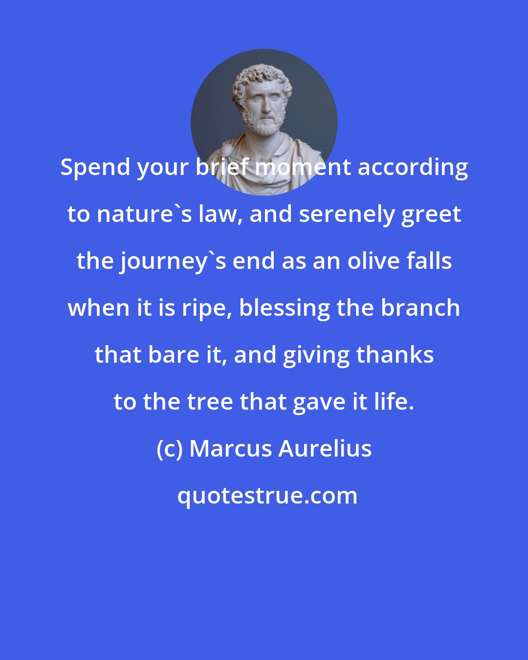 Marcus Aurelius: Spend your brief moment according to nature's law, and serenely greet the journey's end as an olive falls when it is ripe, blessing the branch that bare it, and giving thanks to the tree that gave it life.