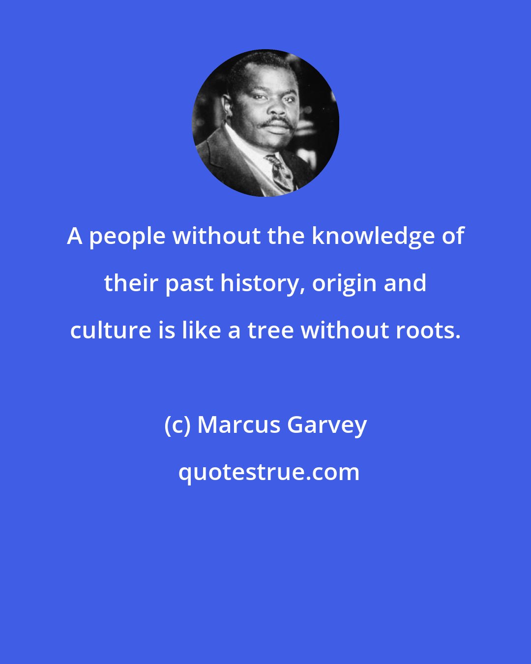 Marcus Garvey: A people without the knowledge of their past history, origin and culture is like a tree without roots.