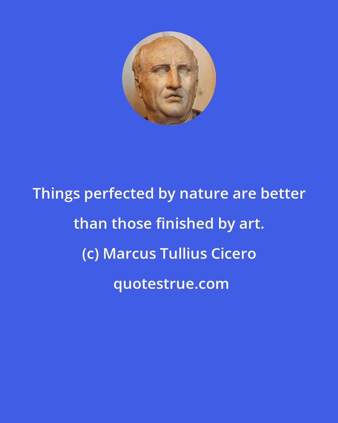 Marcus Tullius Cicero: Things perfected by nature are better than those finished by art.