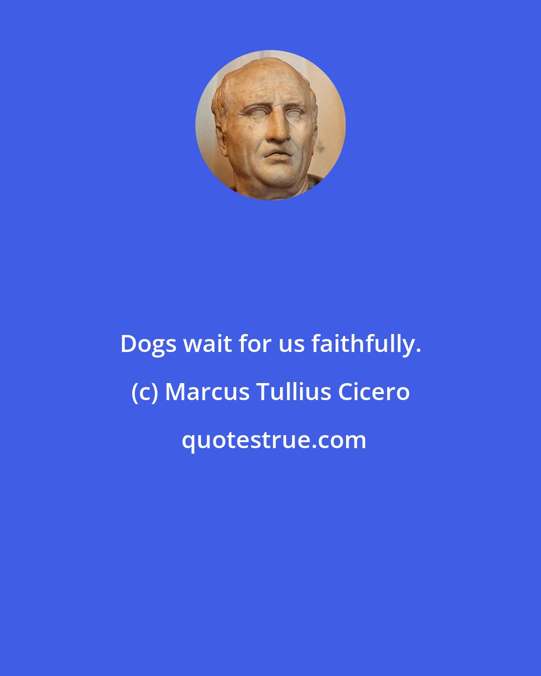 Marcus Tullius Cicero: Dogs wait for us faithfully.