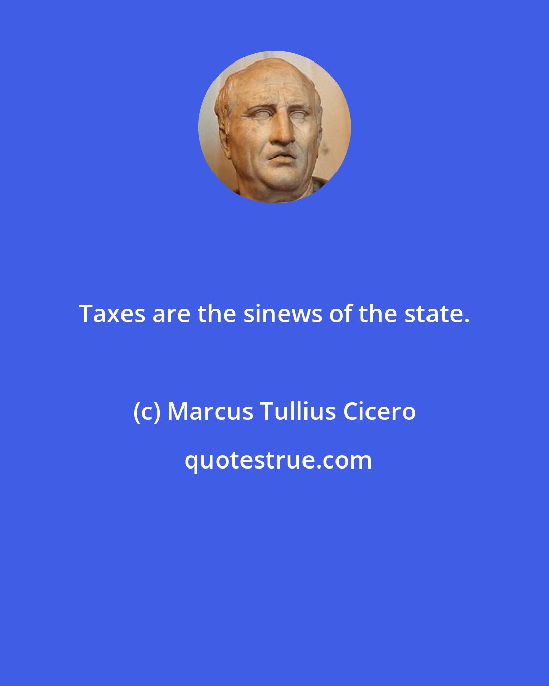 Marcus Tullius Cicero: Taxes are the sinews of the state.