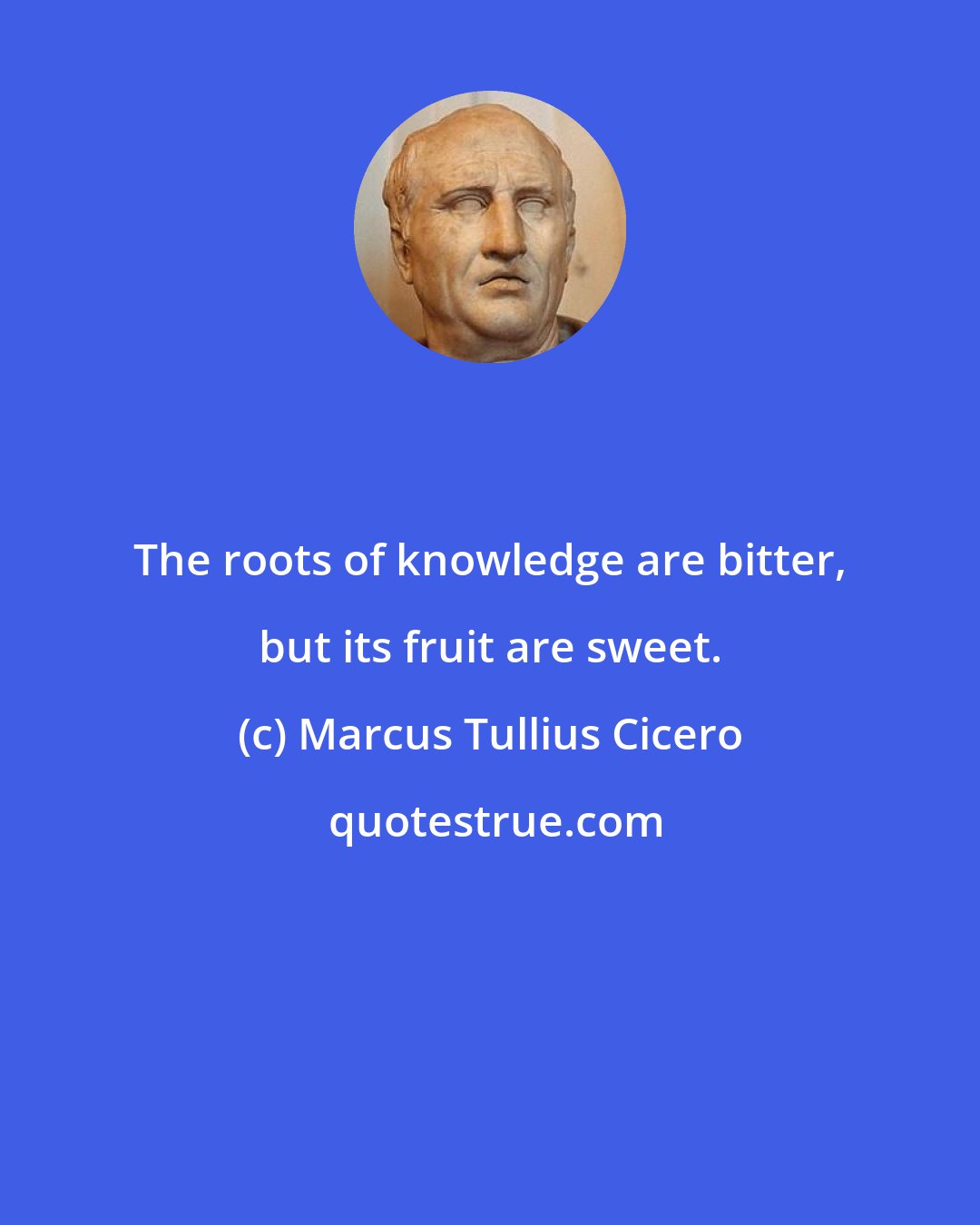 Marcus Tullius Cicero: The roots of knowledge are bitter, but its fruit are sweet.