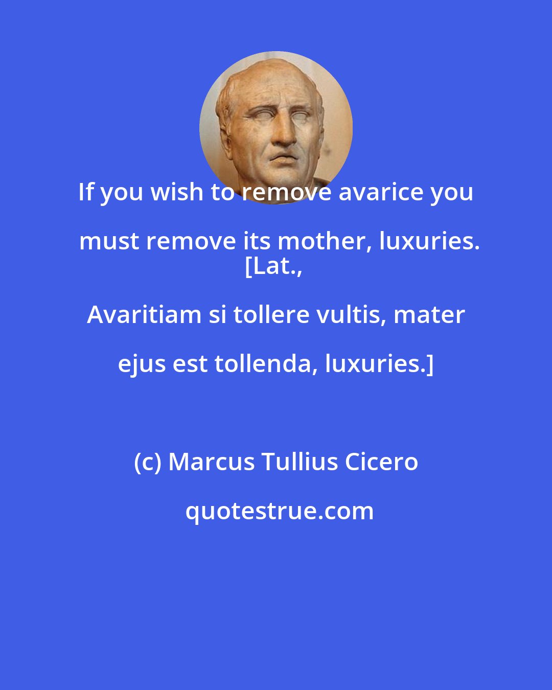 Marcus Tullius Cicero: If you wish to remove avarice you must remove its mother, luxuries.
[Lat., Avaritiam si tollere vultis, mater ejus est tollenda, luxuries.]