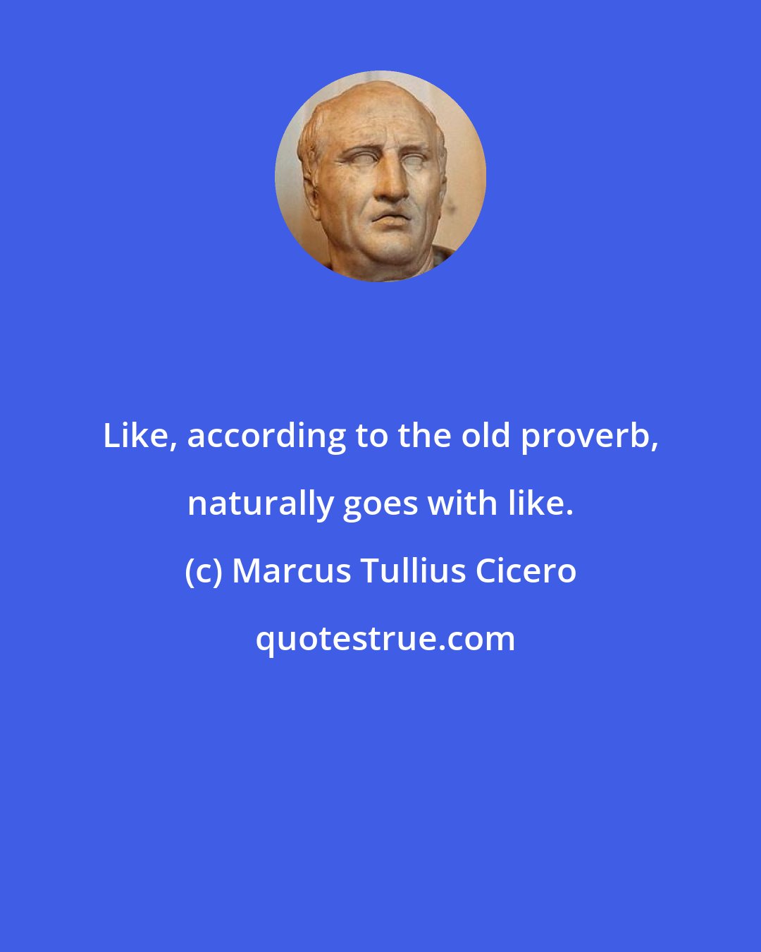 Marcus Tullius Cicero: Like, according to the old proverb, naturally goes with like.