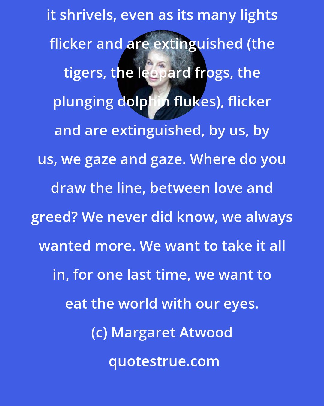 Margaret Atwood: But we still find the world astounding, we can't get enough of it; even as it shrivels, even as its many lights flicker and are extinguished (the tigers, the leopard frogs, the plunging dolphin flukes), flicker and are extinguished, by us, by us, we gaze and gaze. Where do you draw the line, between love and greed? We never did know, we always wanted more. We want to take it all in, for one last time, we want to eat the world with our eyes.