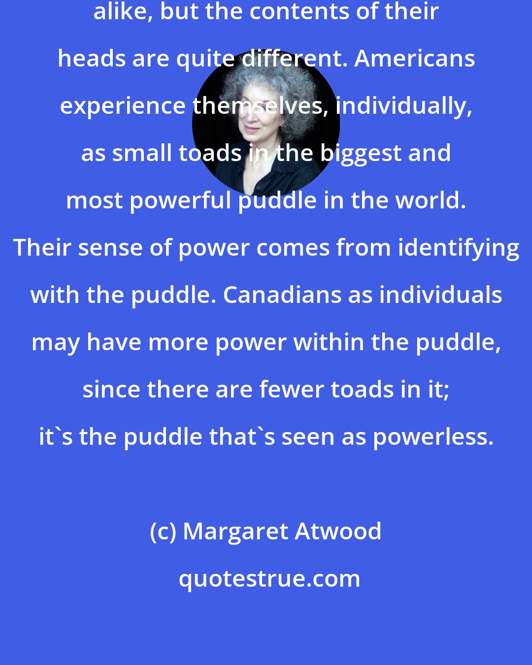 Margaret Atwood: Canadians and Americans may look alike, but the contents of their heads are quite different. Americans experience themselves, individually, as small toads in the biggest and most powerful puddle in the world. Their sense of power comes from identifying with the puddle. Canadians as individuals may have more power within the puddle, since there are fewer toads in it; it's the puddle that's seen as powerless.