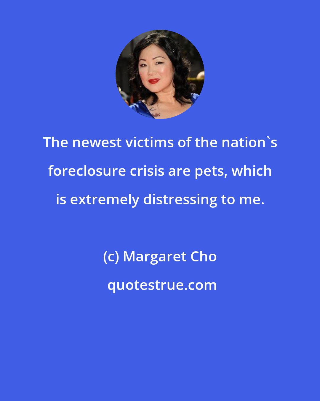 Margaret Cho: The newest victims of the nation's foreclosure crisis are pets, which is extremely distressing to me.