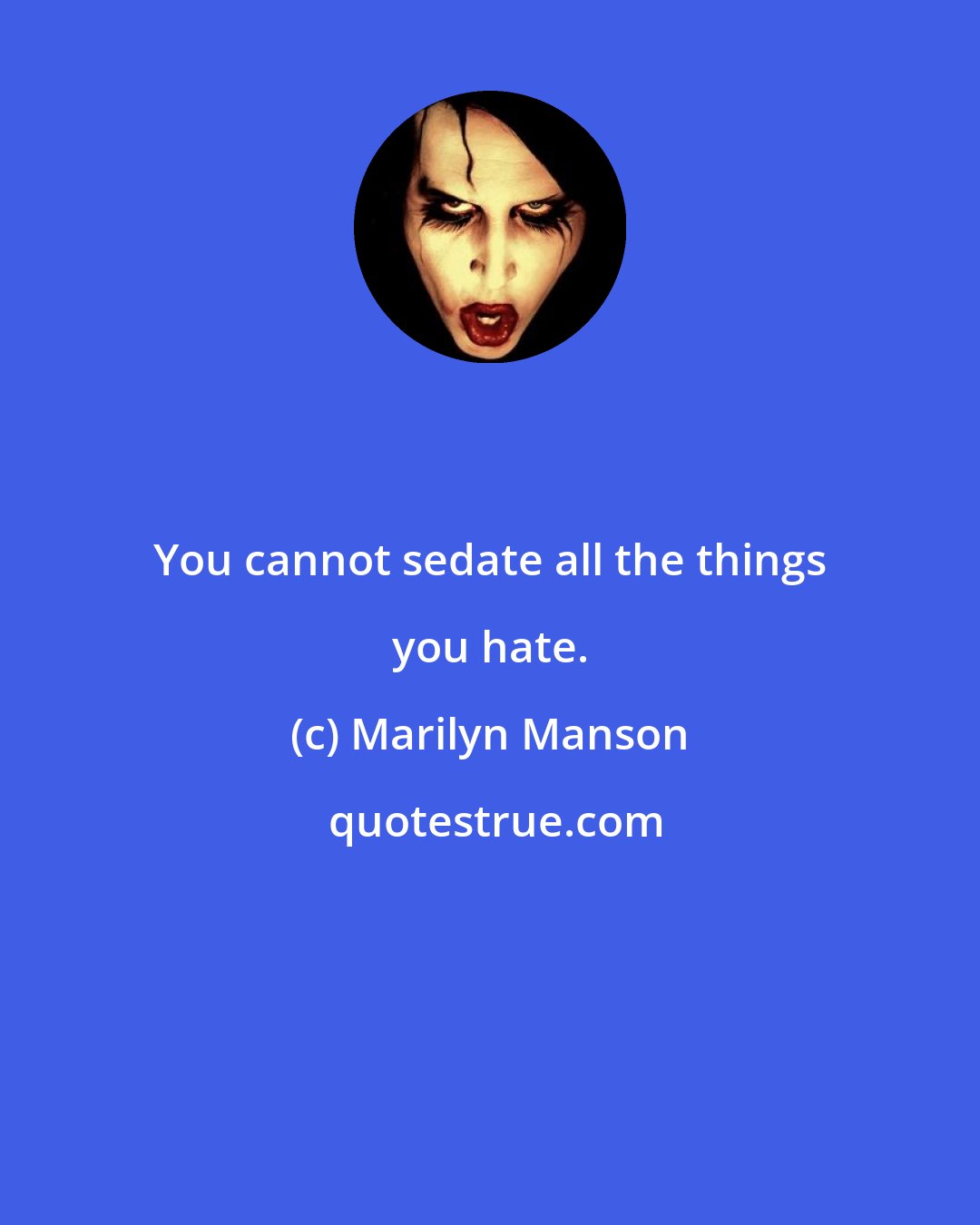 Marilyn Manson: You cannot sedate all the things you hate.