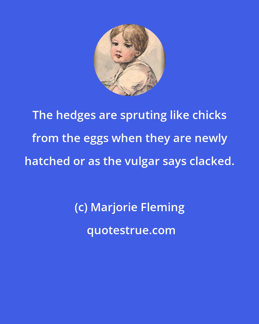 Marjorie Fleming: The hedges are spruting like chicks from the eggs when they are newly hatched or as the vulgar says clacked.