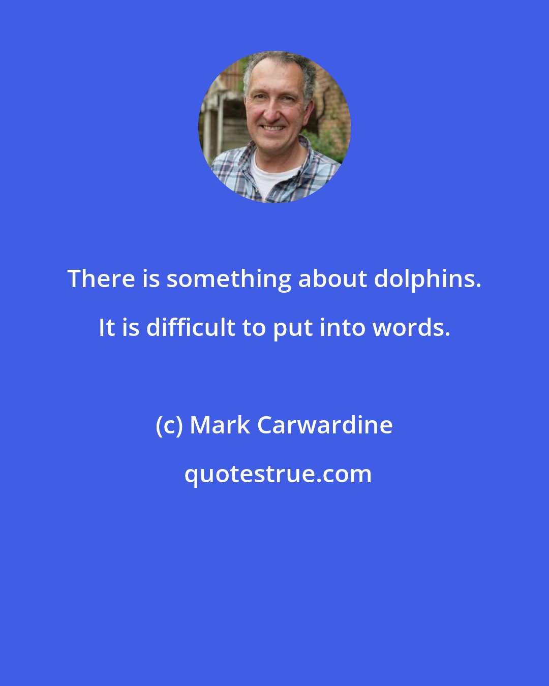Mark Carwardine: There is something about dolphins. It is difficult to put into words.