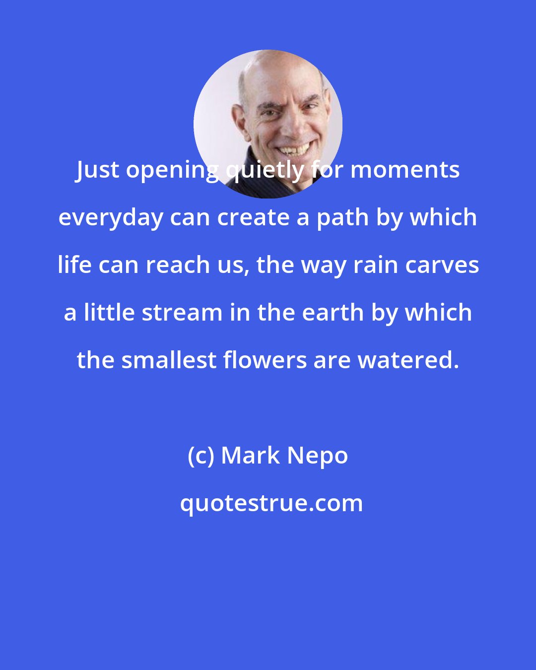 Mark Nepo: Just opening quietly for moments everyday can create a path by which life can reach us, the way rain carves a little stream in the earth by which the smallest flowers are watered.