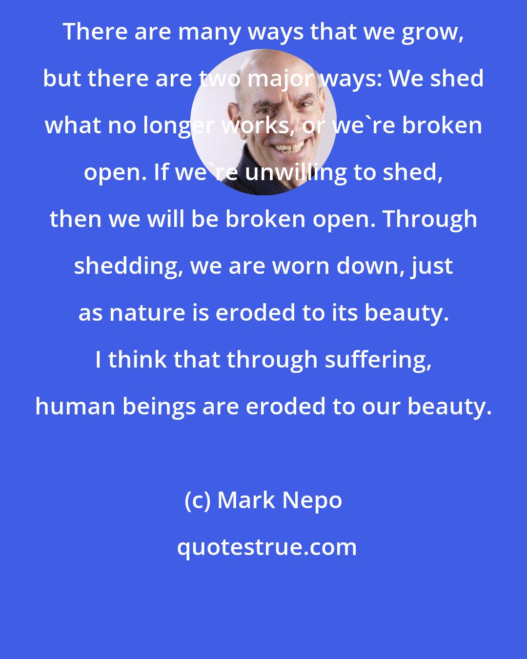 Mark Nepo: There are many ways that we grow, but there are two major ways: We shed what no longer works, or we're broken open. If we're unwilling to shed, then we will be broken open. Through shedding, we are worn down, just as nature is eroded to its beauty. I think that through suffering, human beings are eroded to our beauty.