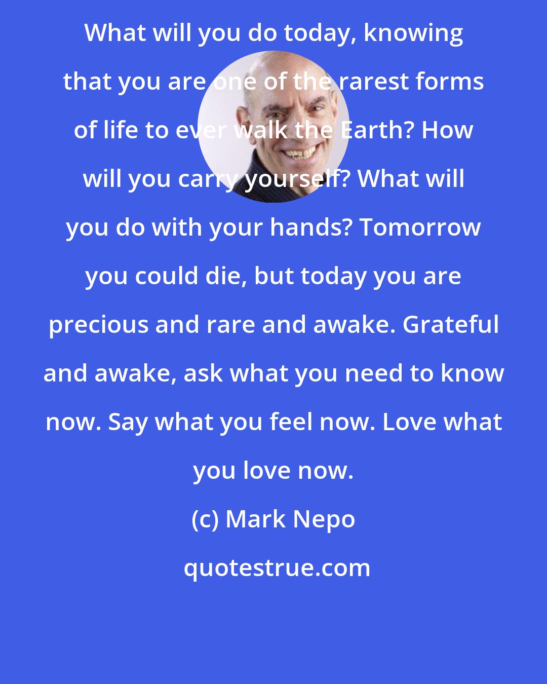 Mark Nepo: What will you do today, knowing that you are one of the rarest forms of life to ever walk the Earth? How will you carry yourself? What will you do with your hands? Tomorrow you could die, but today you are precious and rare and awake. Grateful and awake, ask what you need to know now. Say what you feel now. Love what you love now.