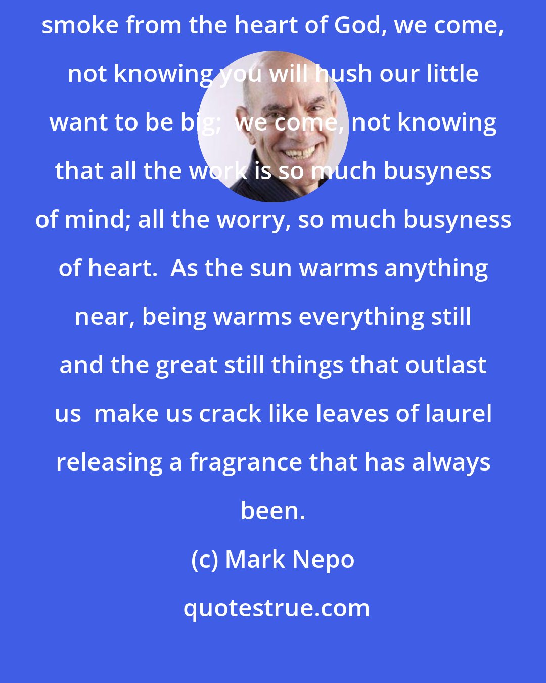 Mark Nepo: Four hundred year old trees, who draw aliveness from the earth like smoke from the heart of God, we come, not knowing you will hush our little want to be big;  we come, not knowing that all the work is so much busyness of mind; all the worry, so much busyness of heart.  As the sun warms anything near, being warms everything still and the great still things that outlast us  make us crack like leaves of laurel releasing a fragrance that has always been.