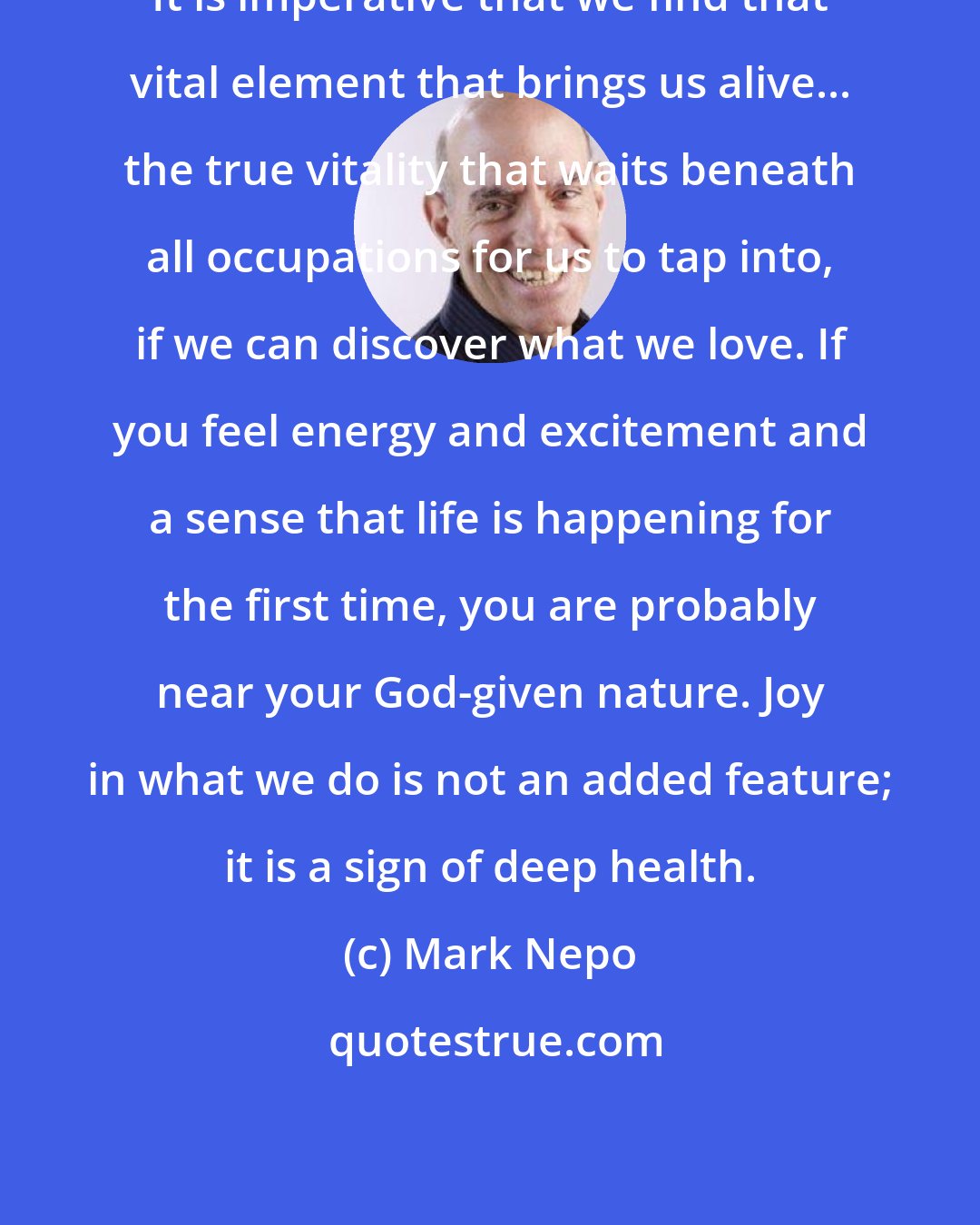 Mark Nepo: It is imperative that we find that vital element that brings us alive... the true vitality that waits beneath all occupations for us to tap into, if we can discover what we love. If you feel energy and excitement and a sense that life is happening for the first time, you are probably near your God-given nature. Joy in what we do is not an added feature; it is a sign of deep health.