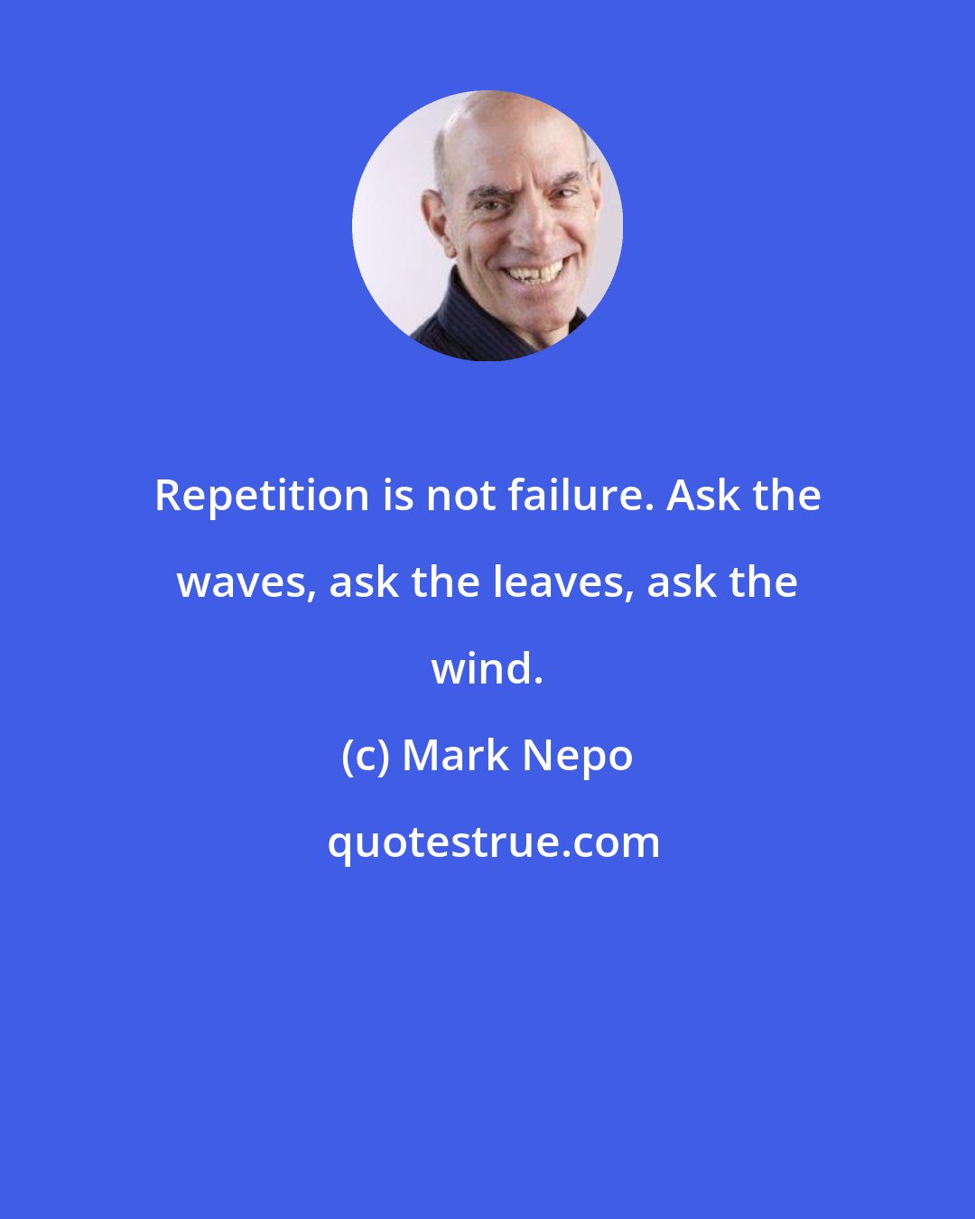 Mark Nepo: Repetition is not failure. Ask the waves, ask the leaves, ask the wind.