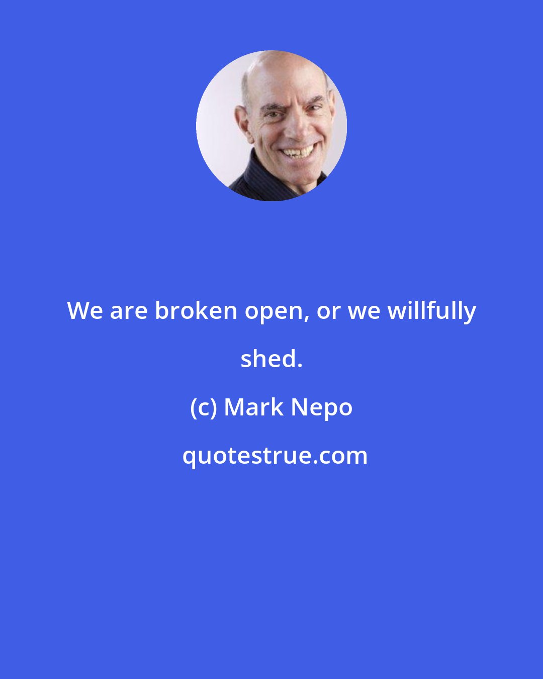 Mark Nepo: We are broken open, or we willfully shed.