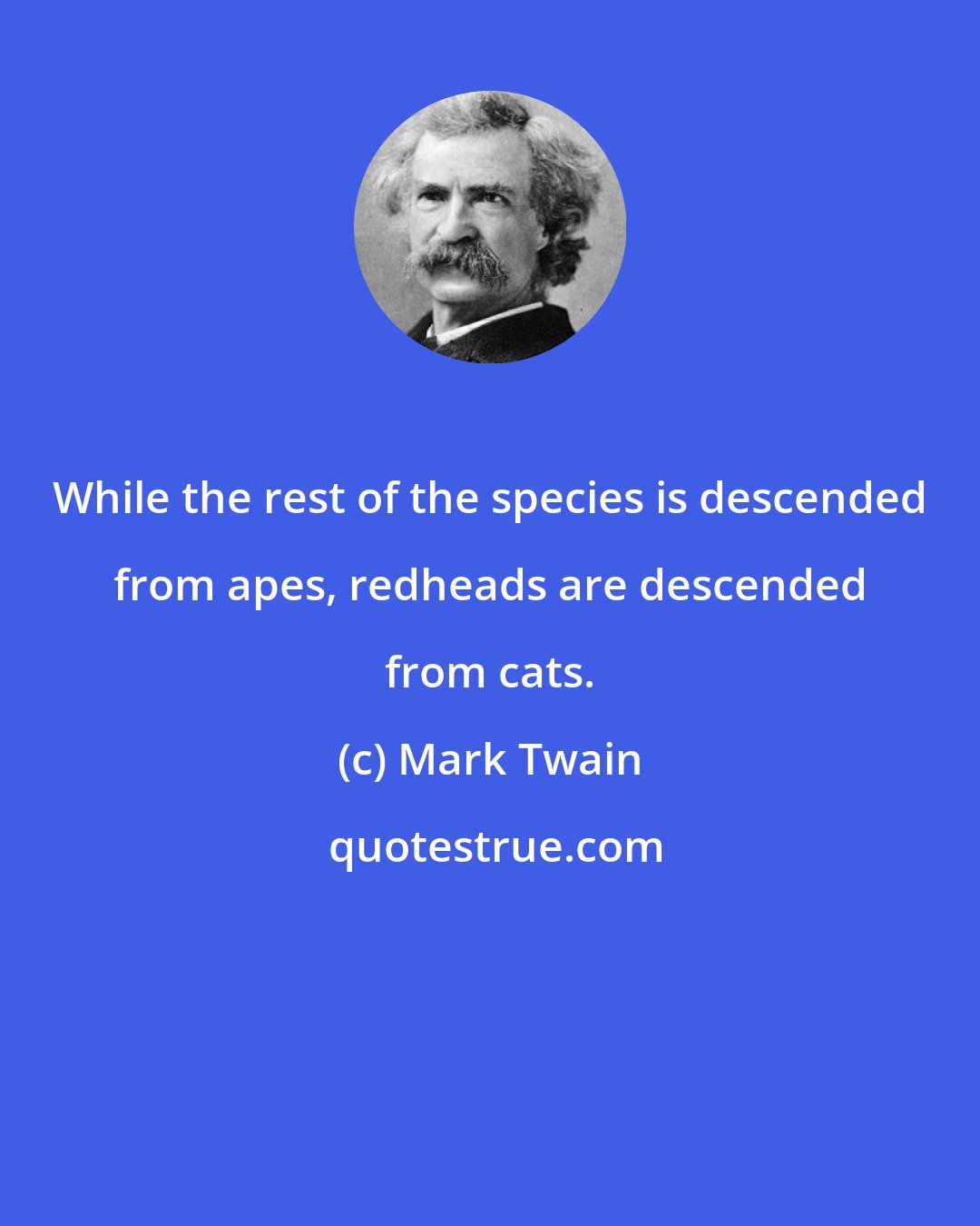 Mark Twain: While the rest of the species is descended from apes, redheads are descended from cats.