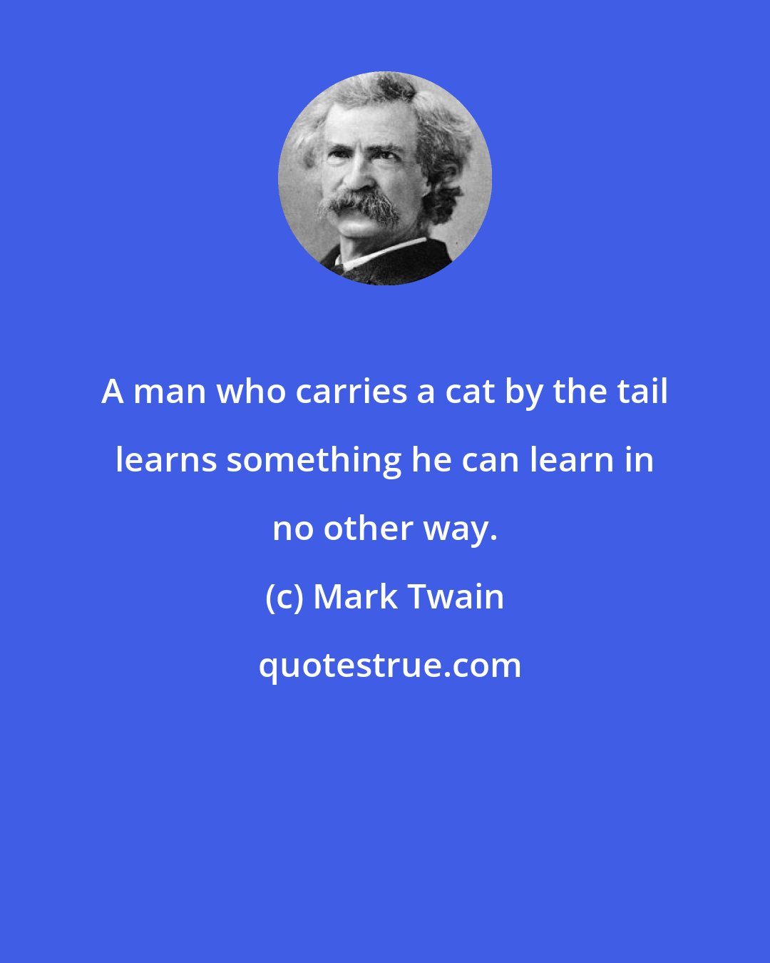 Mark Twain: A man who carries a cat by the tail learns something he can learn in no other way.