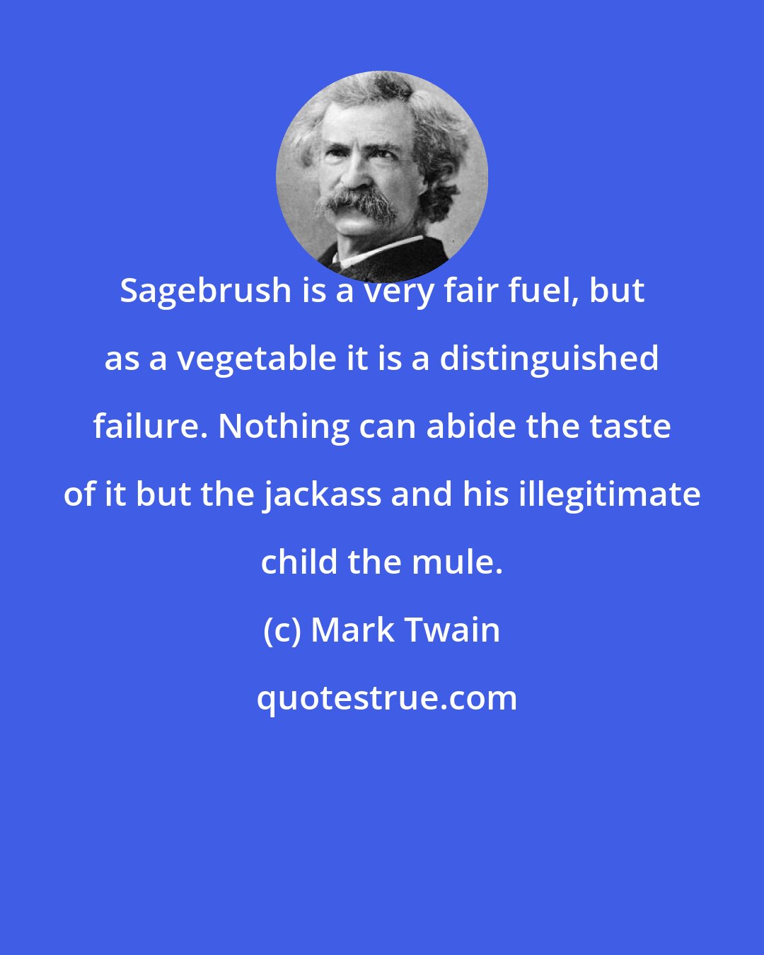 Mark Twain: Sagebrush is a very fair fuel, but as a vegetable it is a distinguished failure. Nothing can abide the taste of it but the jackass and his illegitimate child the mule.
