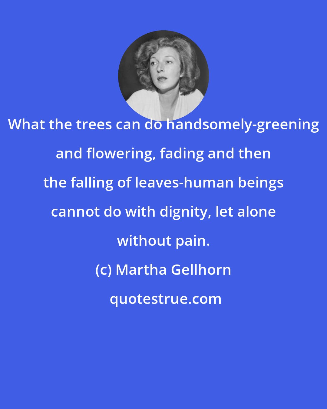 Martha Gellhorn: What the trees can do handsomely-greening and flowering, fading and then the falling of leaves-human beings cannot do with dignity, let alone without pain.