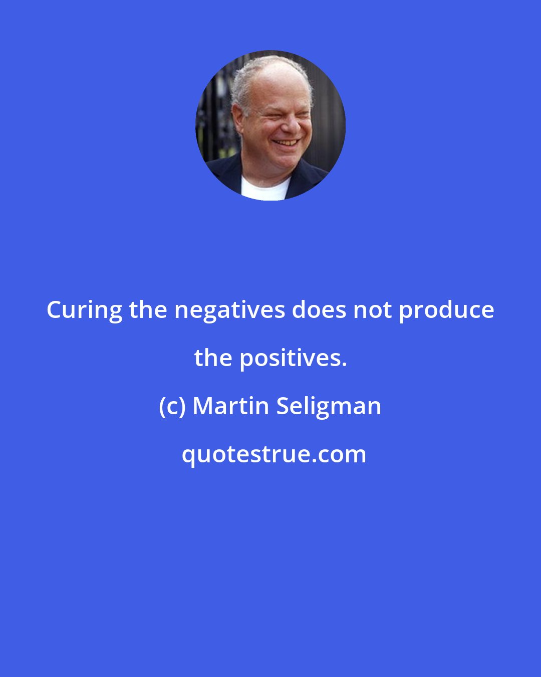 Martin Seligman: Curing the negatives does not produce the positives.