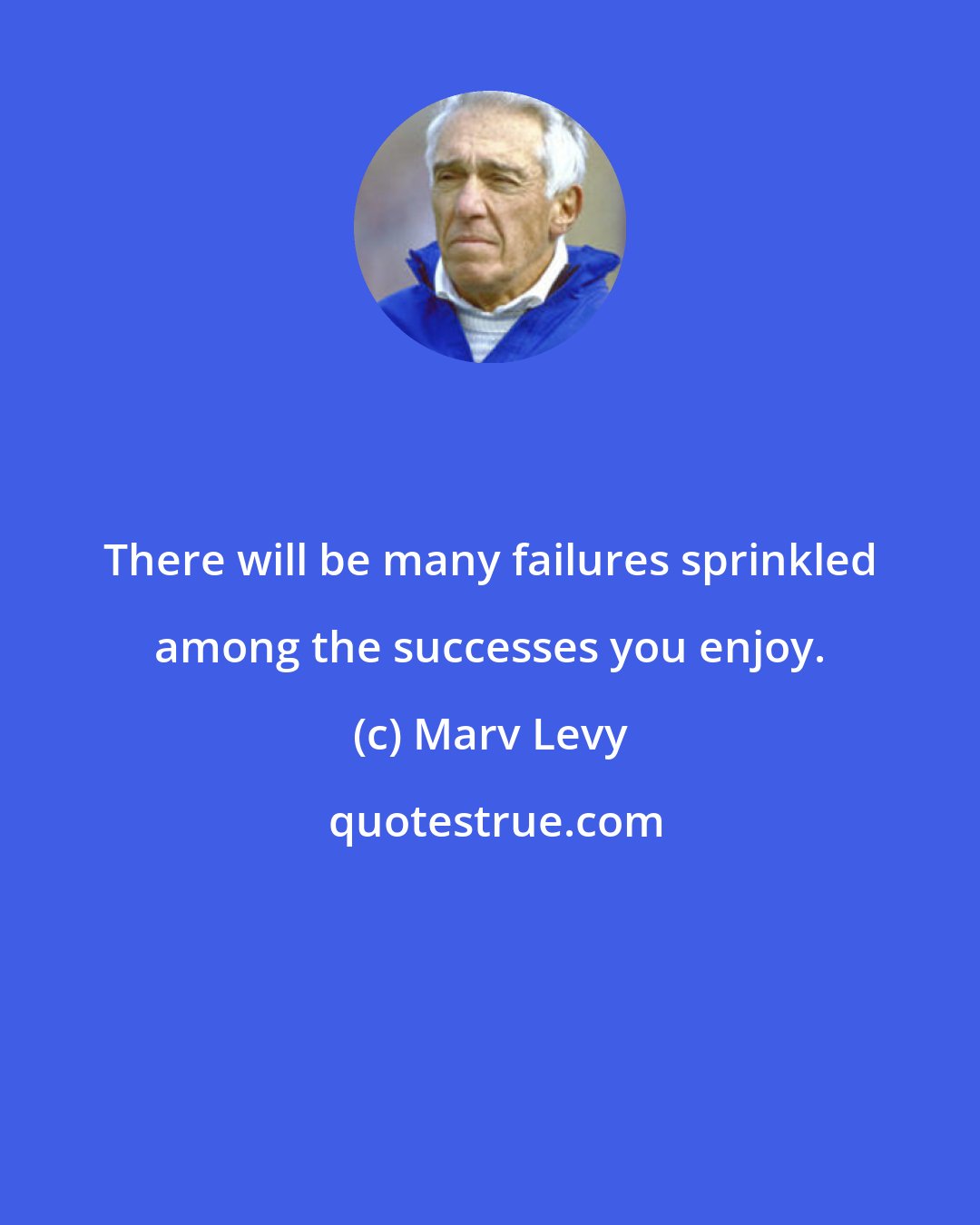 Marv Levy: There will be many failures sprinkled among the successes you enjoy.