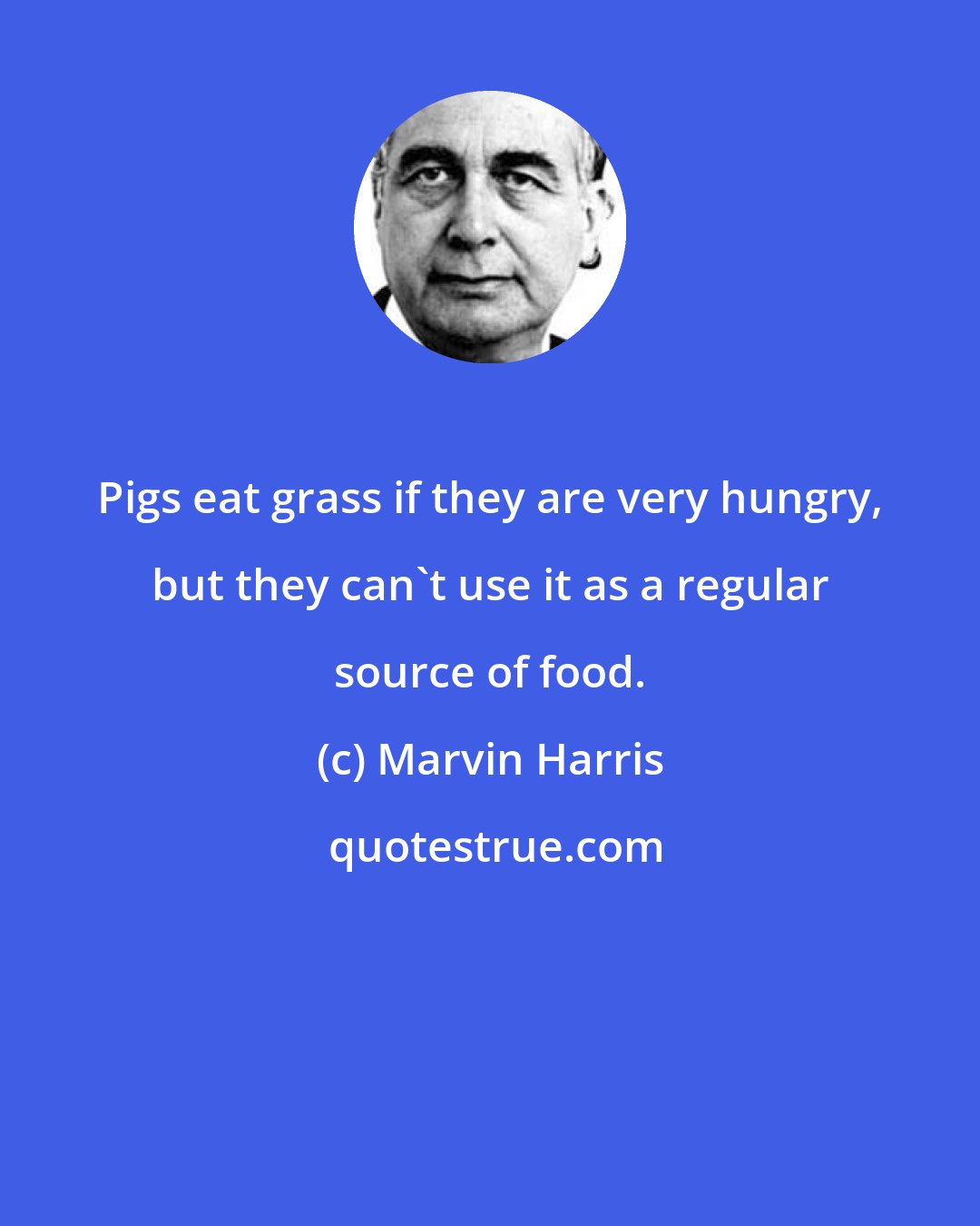 Marvin Harris: Pigs eat grass if they are very hungry, but they can't use it as a regular source of food.